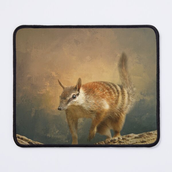 Item preview, Numbat on Branch Three designed and sold by Elisabeth Lucas.