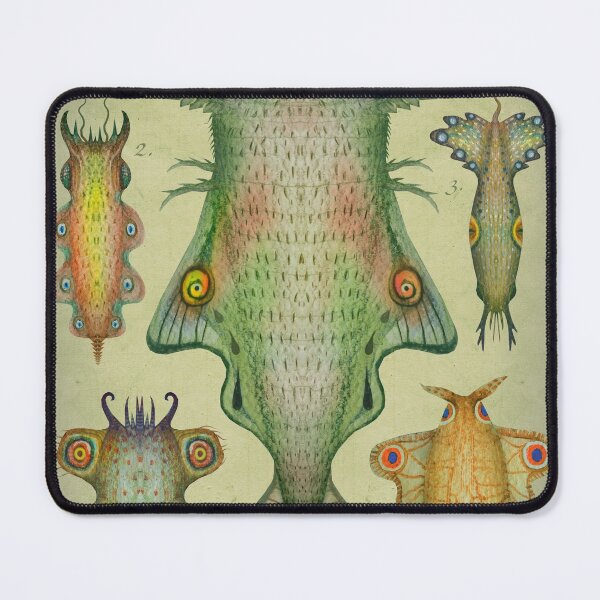 Item preview, Cephalopodoptera III designed and sold by Cabinet Of Curiosities by Vlad.