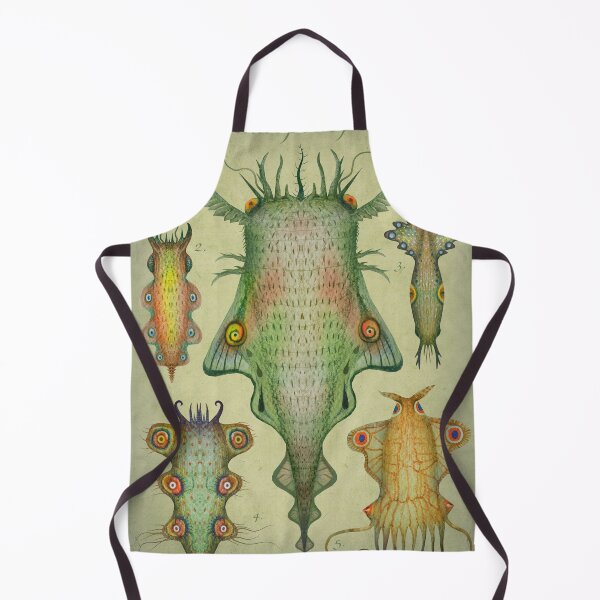 Item preview, Cephalopodoptera III designed and sold by Cabinet Of Curiosities by Vlad.