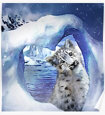 Snow Leopard - Heart Warmer Poster