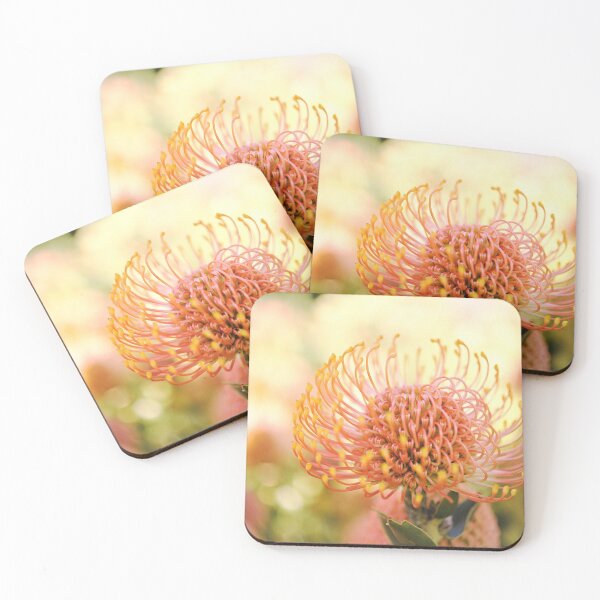 Item preview, Nature's Beautiful Nodding Pincushion - Leucospermum cordifolia designed and sold by imaginethis.