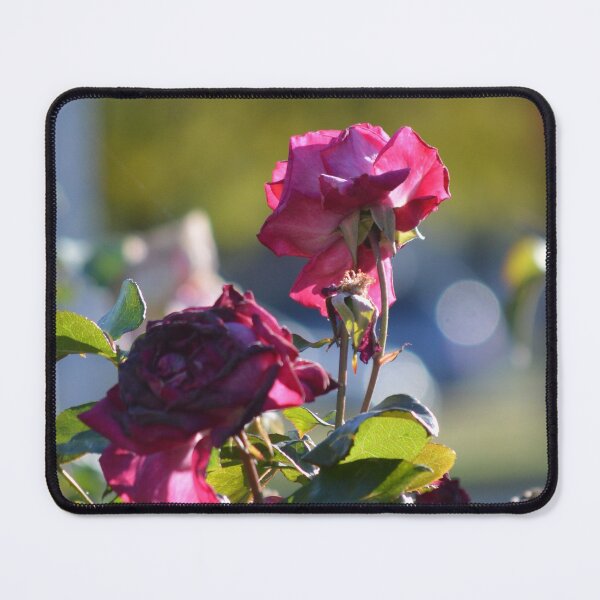 Item preview, Fading Roses designed and sold by Lsartz.