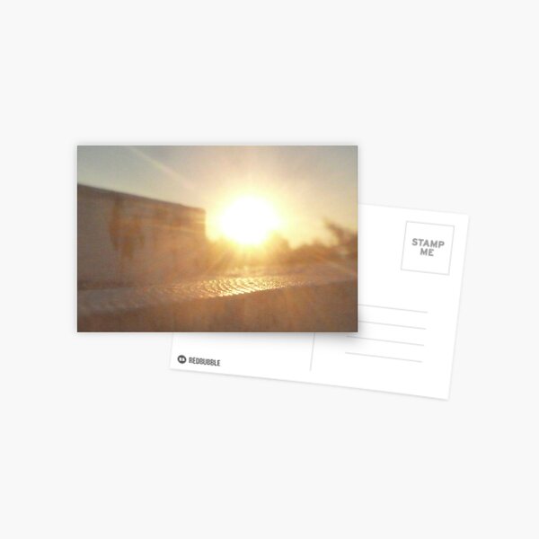 Sunlight and Fence Postcard