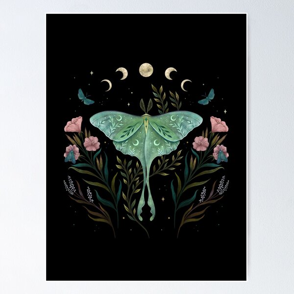 Butterfly Garden Wall Art for Sale