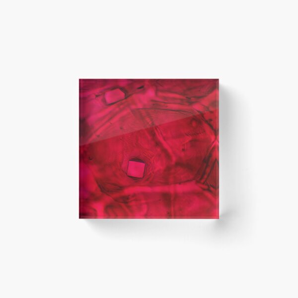 Item preview, Red onion skin with oxalate crystals under the microscope designed and sold by SDym Photography.