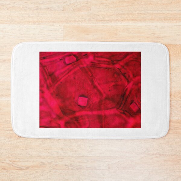 Item preview, Red onion skin with oxalate crystals under the microscope designed and sold by SDym Photography.
