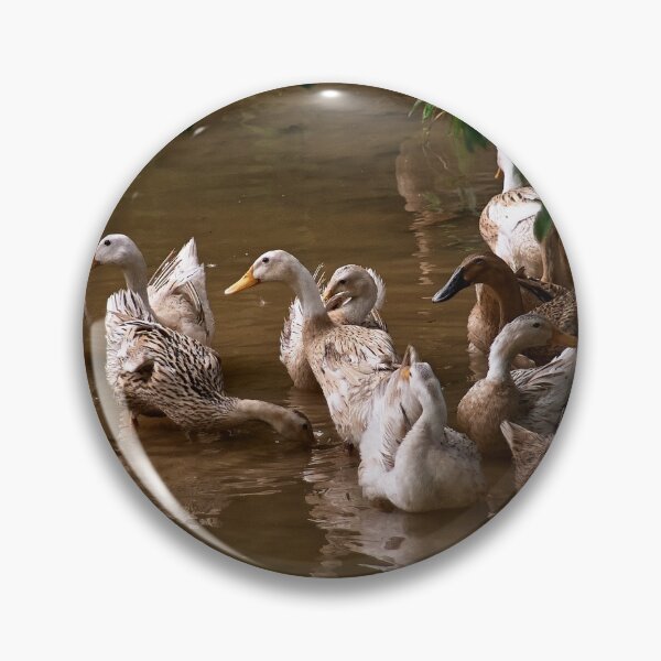 Item preview, Ducks designed and sold by migawadesign.