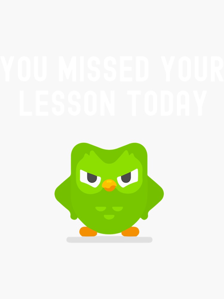 You Missed Your Lesson Today Duolingo Memes Sticker For Sale By