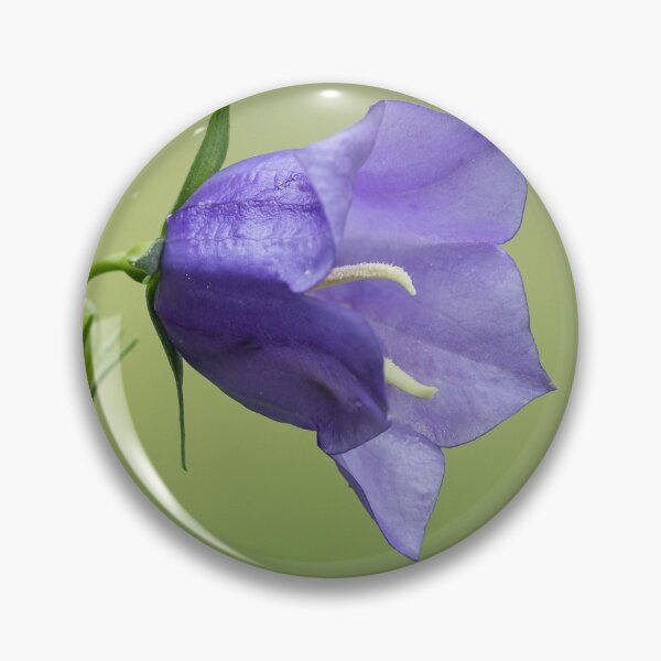 Item preview, a purple bellflower designed and sold by Stefan Rotter.