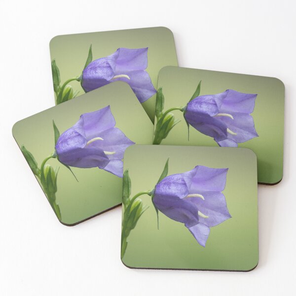 Item preview, a purple bellflower designed and sold by Stefan Rotter.