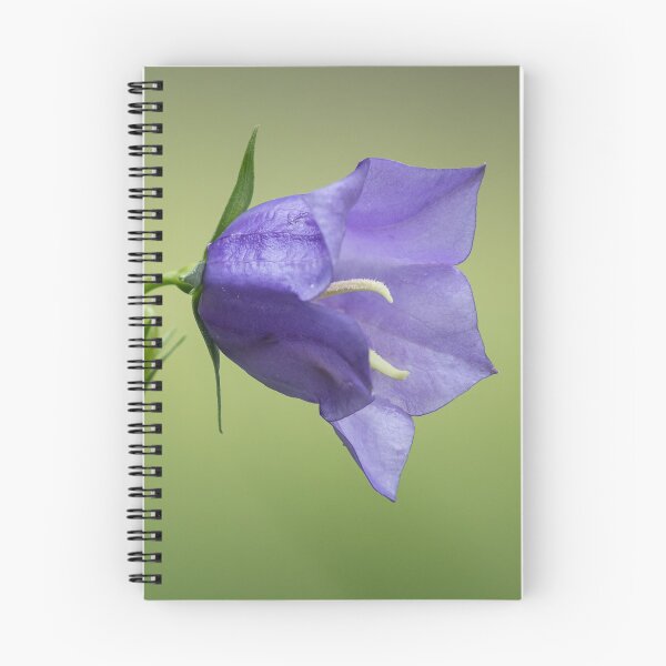 Item preview, a purple bellflower designed and sold by Stefan Rotter.