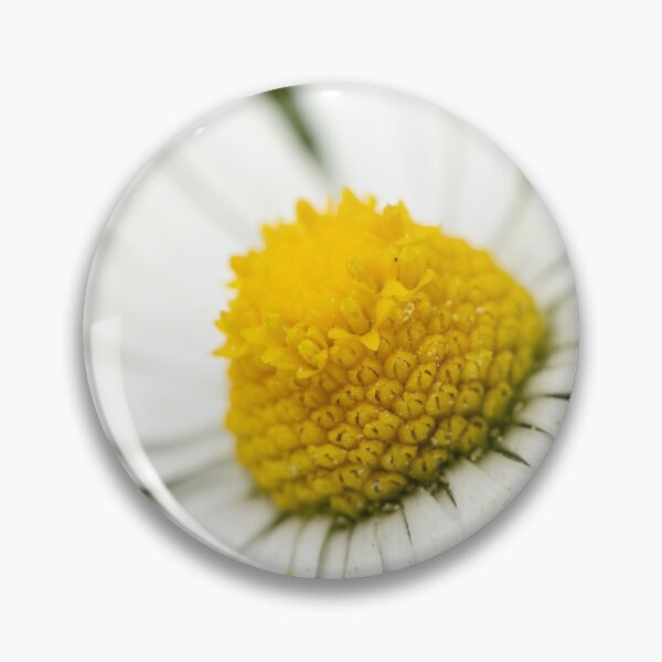 Item preview, Closeup of a daisy designed and sold by Stefan Rotter.