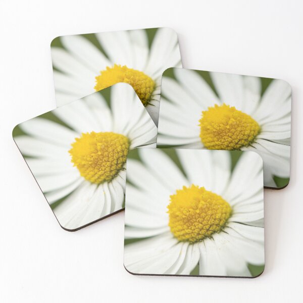Item preview, Closeup of a daisy designed and sold by Stefan Rotter.
