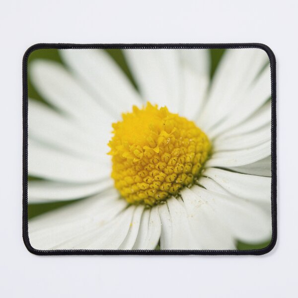 Item preview, Closeup of a daisy designed and sold by Stefan Rotter.