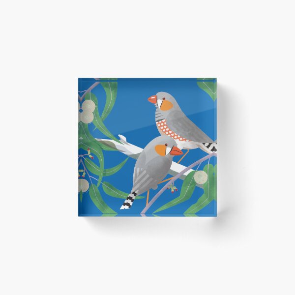 Zebra Finches in Eucalypts Acrylic Block