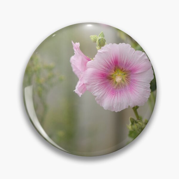 Item preview, a common hollyhock designed and sold by Stefan Rotter.