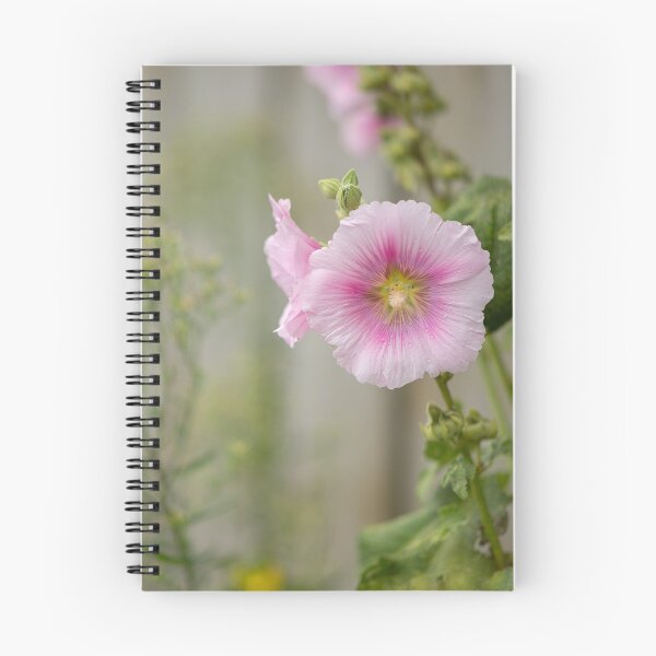Item preview, a common hollyhock designed and sold by Stefan Rotter.