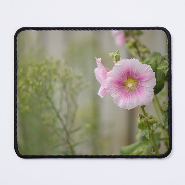 Item preview, a common hollyhock designed and sold by Stefan Rotter.