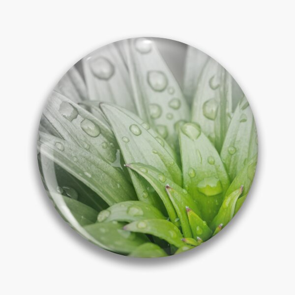Item preview, leaves of a tiger lily designed and sold by Stefan Rotter.