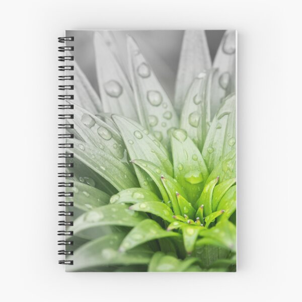 Item preview, leaves of a tiger lily designed and sold by Stefan Rotter.