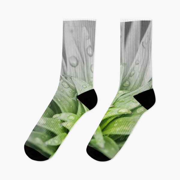 Item preview, leaves of a tiger lily designed and sold by Stefan Rotter.