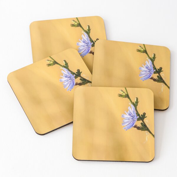 Item preview, a chicory blossom in summer designed and sold by Stefan Rotter.
