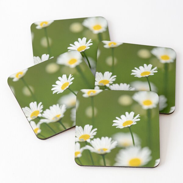 Item preview, oxeye daisies in a meadow designed and sold by Stefan Rotter.