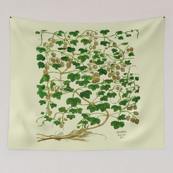 Item preview, Medieval Book Medical Plant Illustration  designed and sold by Naturalist Prints.
