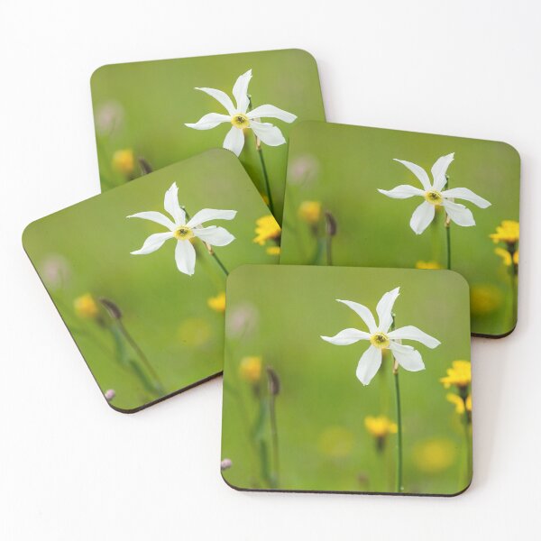 Item preview, Flowering narcissus designed and sold by Stefan Rotter.