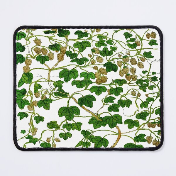 Item preview, Medieval Book Medical Plant Illustration designed and sold by Naturalist Prints.