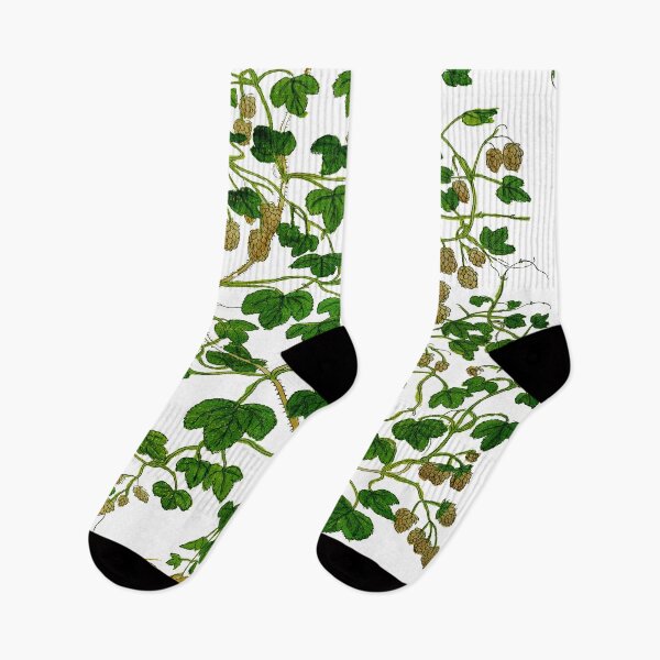 Item preview, Medieval Book Medical Plant Illustration  designed and sold by Naturalist Prints.