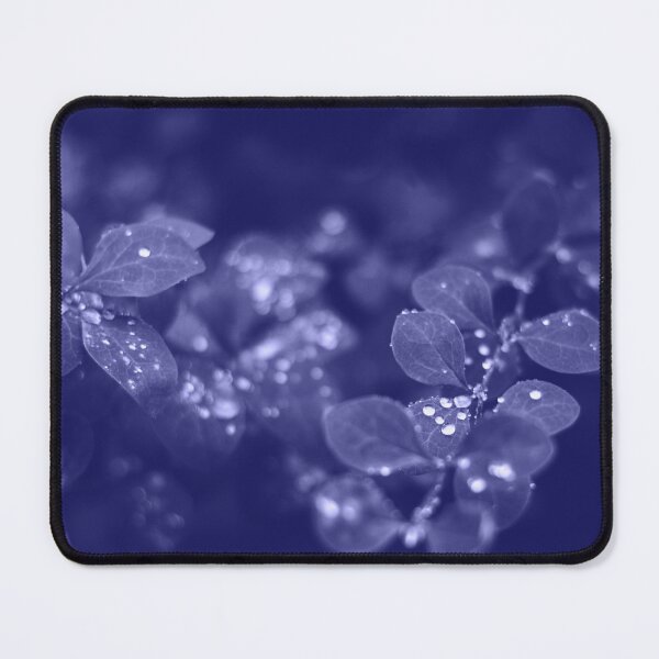 Item preview, Wet leaves with raindrops, macro background, close-up. designed and sold by Evgeniia Biriukova.