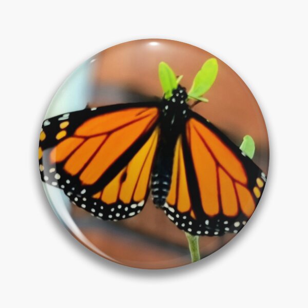 Item preview, THE BEAUTY OF BEING A BUTTERFLY designed and sold by Steffi August.