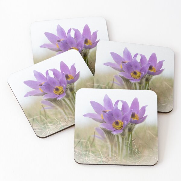 Item preview, a wild pasque flower designed and sold by Stefan Rotter.