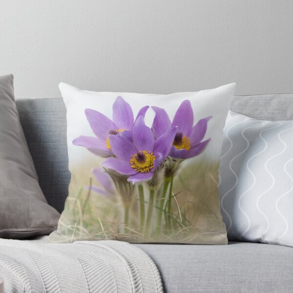 Item preview, a wild pasque flower designed and sold by Stefan Rotter.
