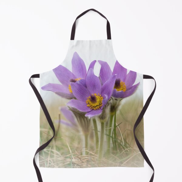 Item preview, a wild pasque flower designed and sold by Stefan Rotter.
