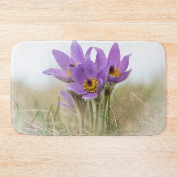 Item preview, a wild pasque flower designed and sold by Stefan Rotter.