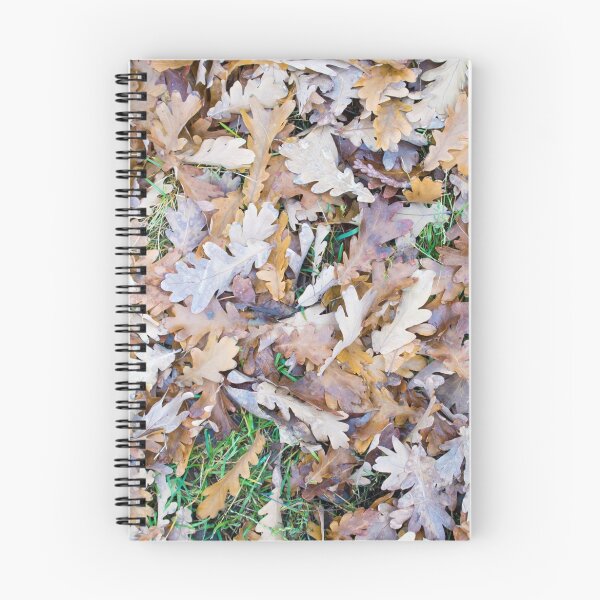 Item preview, Top view of a layer of fallen oak leaves designed and sold by vladromensky.