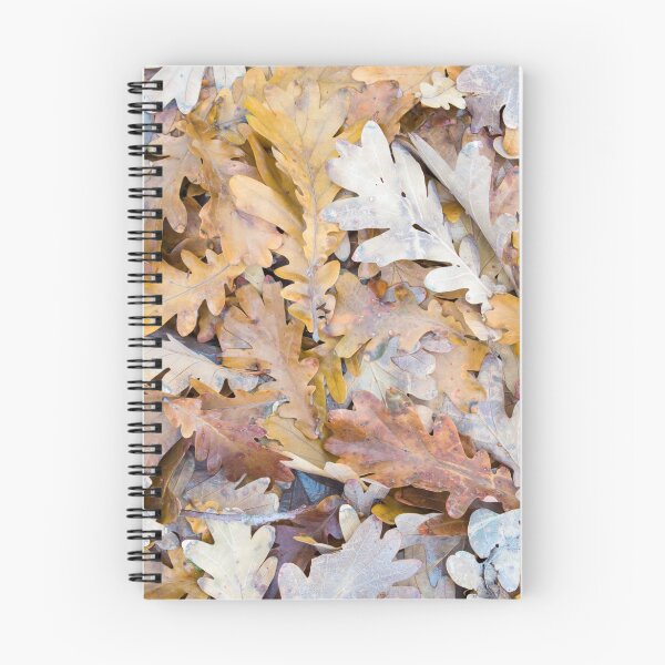 Item preview, Top view of a layer of fallen oak leaves designed and sold by vladromensky.