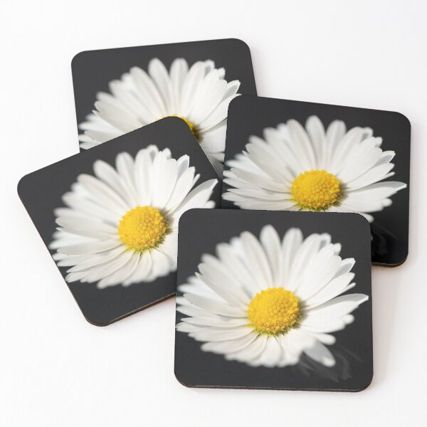 Item preview, Closeup of a daisy designed and sold by Stefan Rotter.