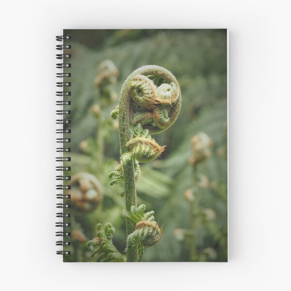Item preview, Ferns unfurled III designed and sold by migawadesign.