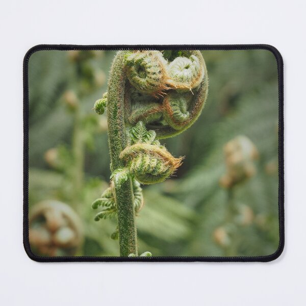Item preview, Ferns unfurled III designed and sold by migawadesign.