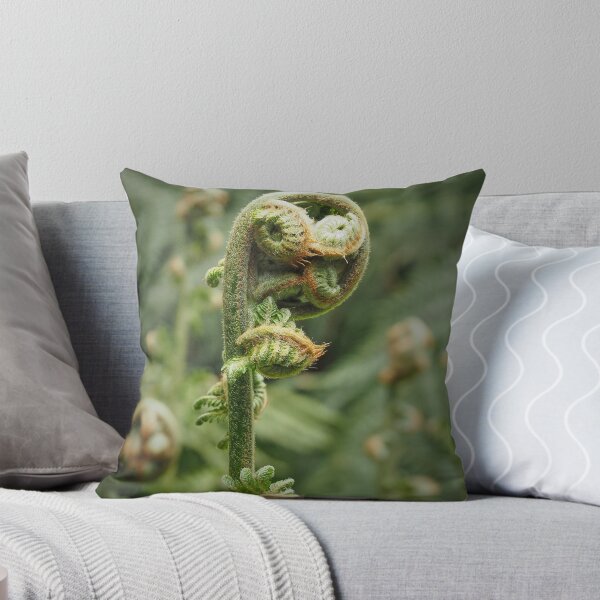 Item preview, Ferns unfurled III designed and sold by migawadesign.