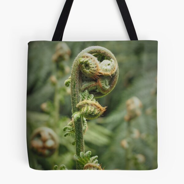 Item preview, Ferns unfurled III designed and sold by migawadesign.