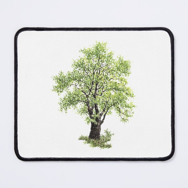 Item preview, April birthday elm tree designed and sold by birthflower.