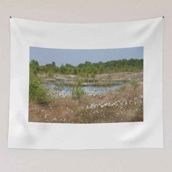Item preview, Neustädter Moor, floating grass, Lower Saxony, Germany designed and sold by Torsten  Krüger.
