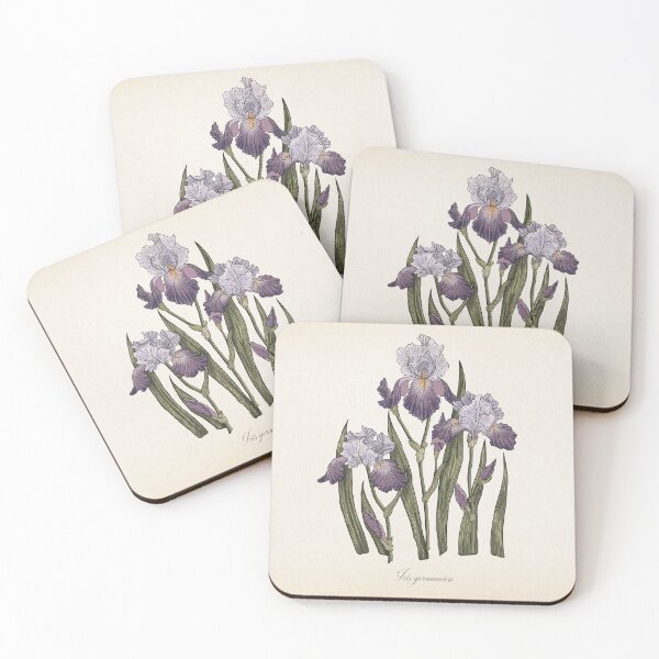 Item preview, Vintage Iris  designed and sold by MaroonEdFox.
