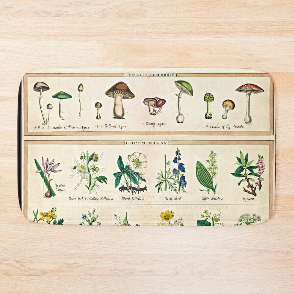 Item preview, The Principle Poisonous Plants and Fungi designed and sold by RPGHaven.