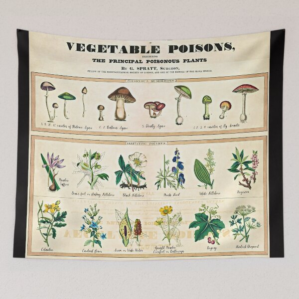 Item preview, The Principle Poisonous Plants and Fungi designed and sold by RPGHaven.