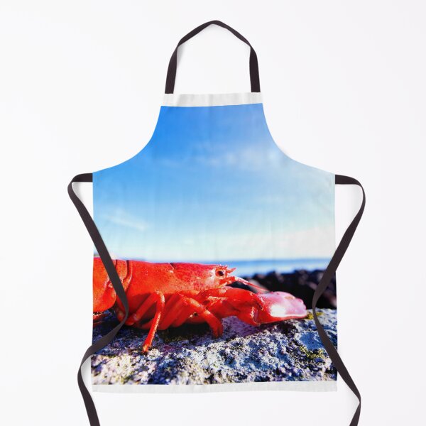 Item preview, lobster photo with high resolution quality designed and sold by Allyouneed-2.